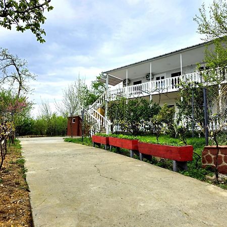 Hilltop Guest House Kutaisi Bagian luar foto