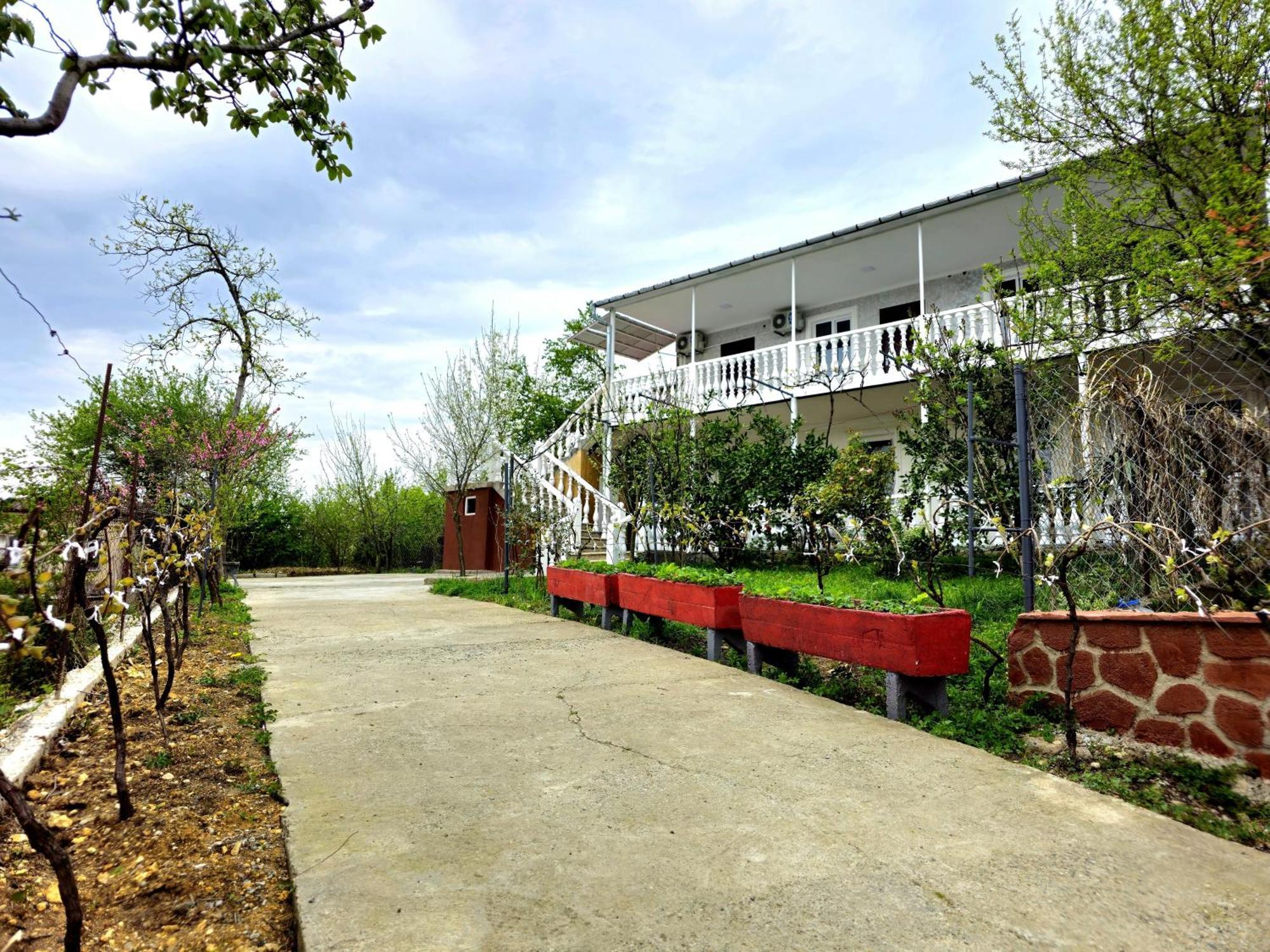 Hilltop Guest House Kutaisi Bagian luar foto